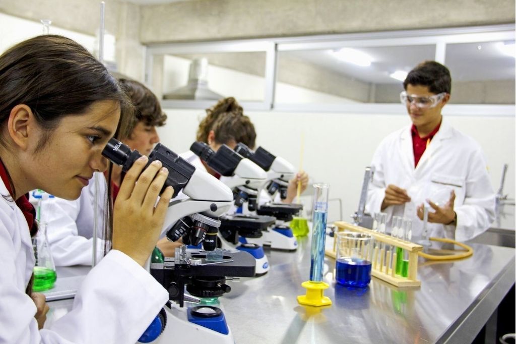 STEM Learning: Shaping a Creative Digital Generation